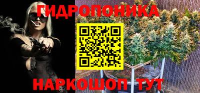 прущие грибы Ирбит