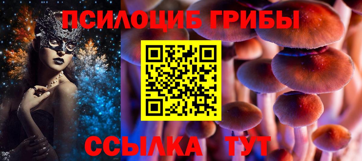 Галлюциногенные грибы Cubensis  Вход с VPN  Кузнецк 